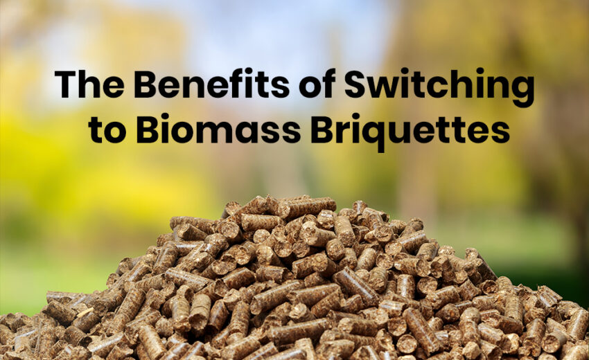 Biomass Briquettes: An Eco-Friendly Fuel for All Discover 