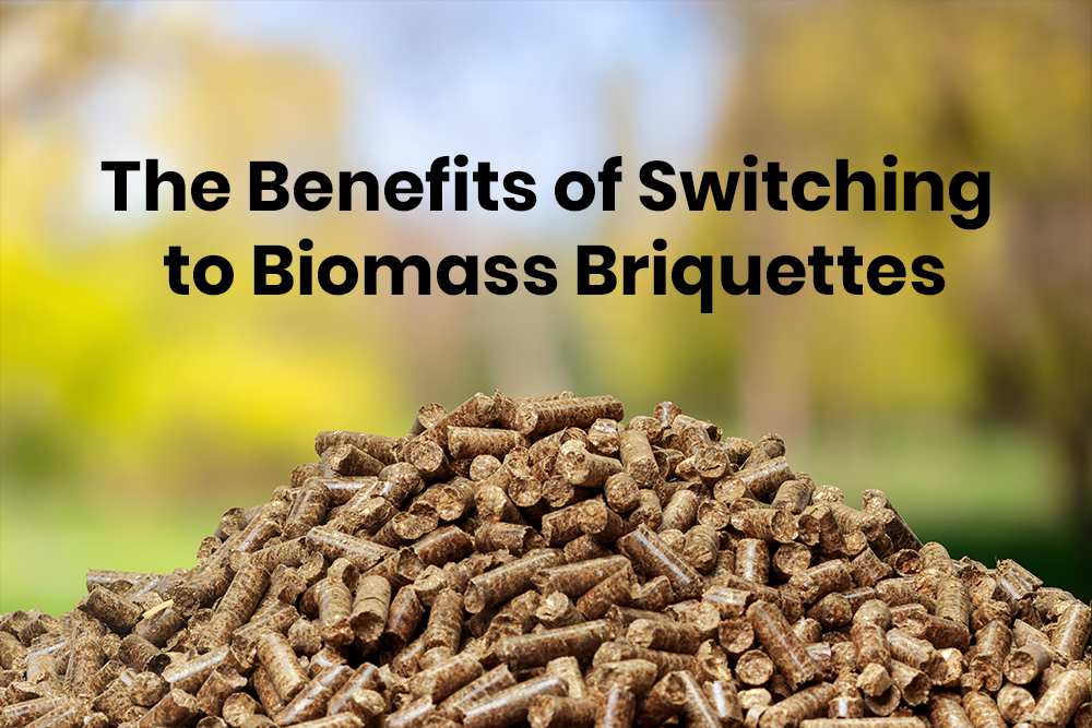 Biomass Briquettes: An Eco-Friendly Fuel for All Discover 