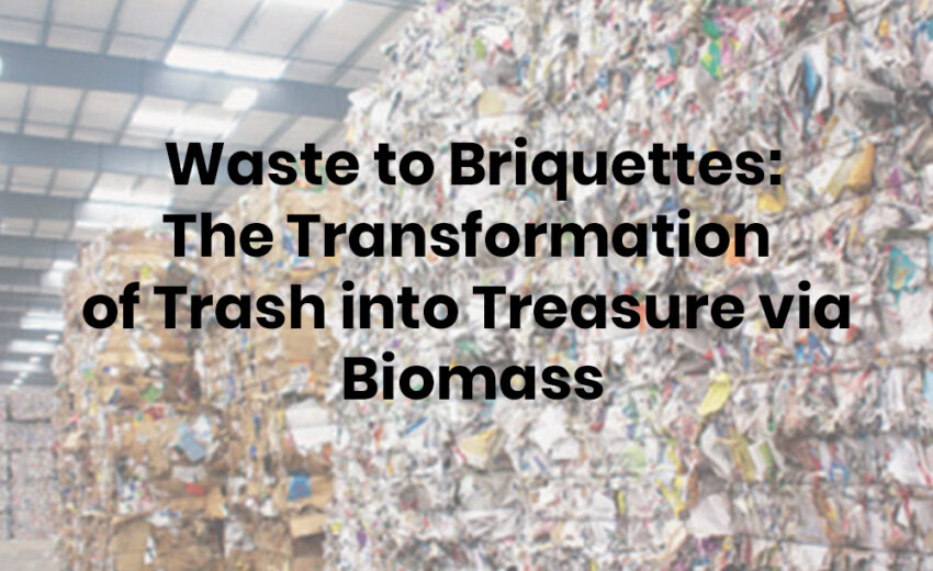 Waste to Briquettes: The Transformation of Trash into Treasure via Biomass