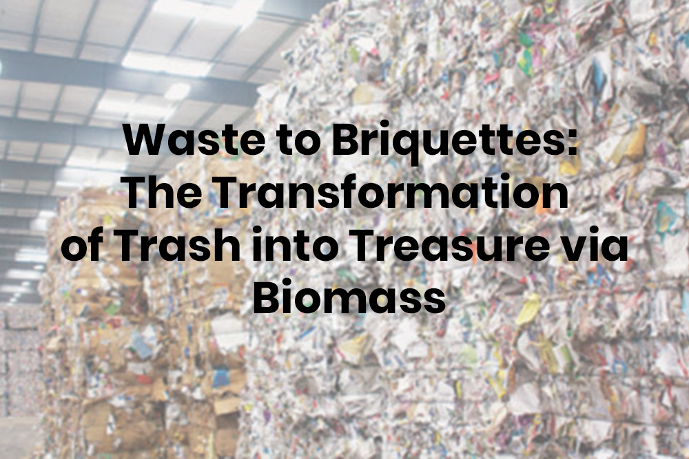 Waste to Briquettes: The Transformation of Trash into Treasure via Biomass