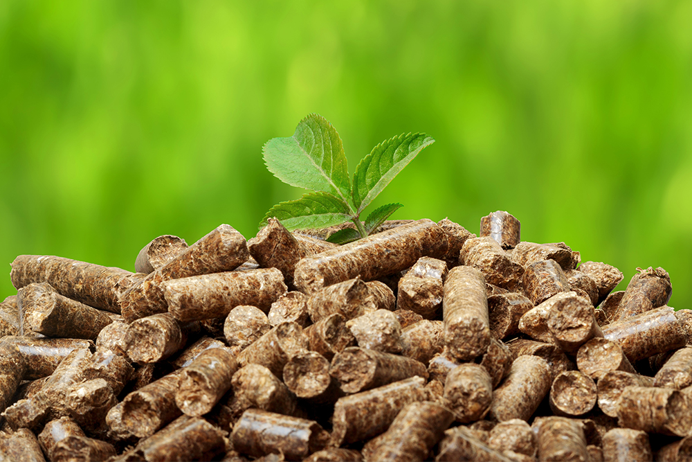 Biomass Briquettes: An Eco-Friendly Fuel for All Discover 
